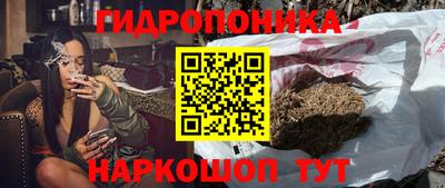 прущие грибы Камышлов