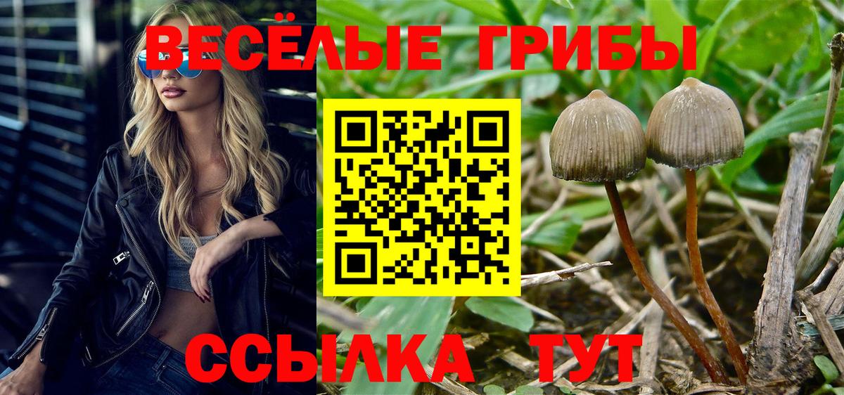 Псилоцибиновые грибы Cubensis  Вход с VPN  Красноуфимск  Псилоцибиновые грибы MAGIC MUSHROOMS 